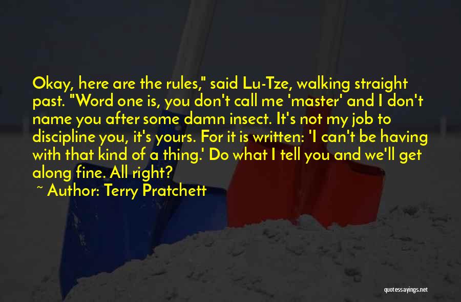 Not Having You Here Quotes By Terry Pratchett