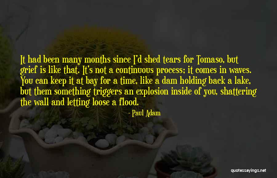 Not Holding You Back Quotes By Paul Adam Not Holding You Back Quotes By Paul Adam