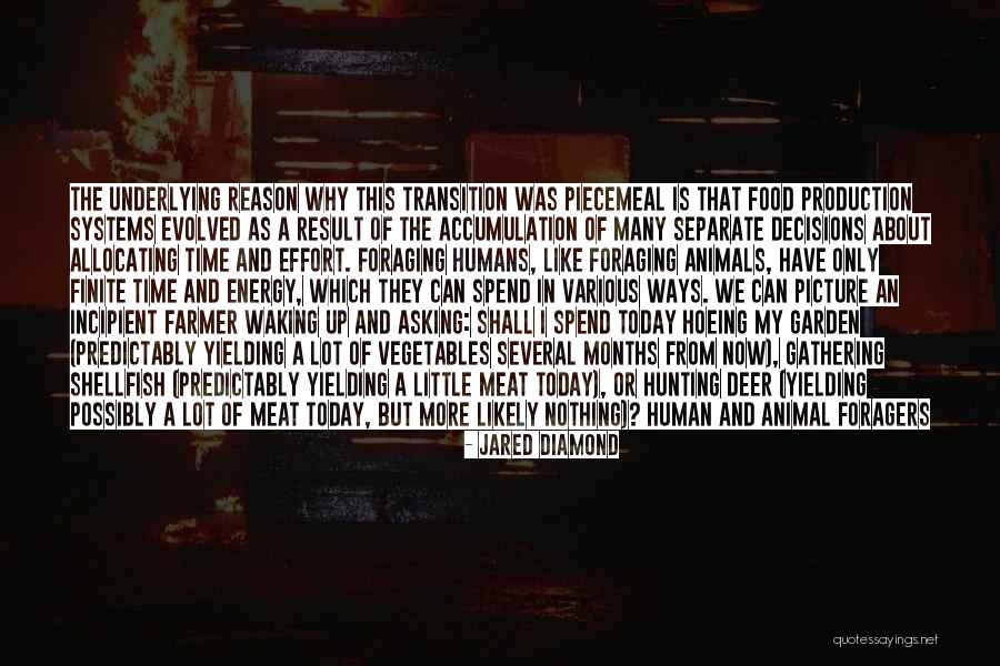 Not Hunting Animals Quotes By Jared Diamond Not Hunting Animals Quotes By Jared Diamond