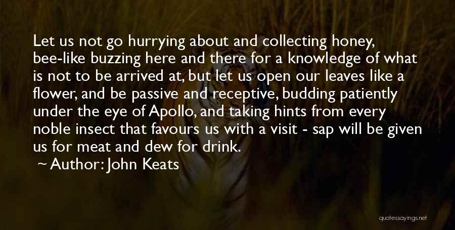 Not Hurrying Quotes By John Keats