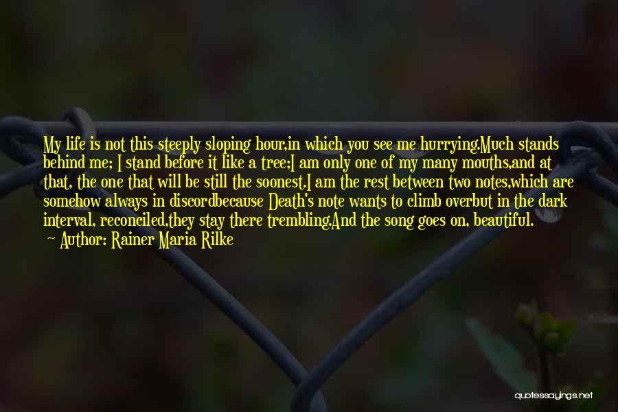 Not Hurrying Quotes By Rainer Maria Rilke