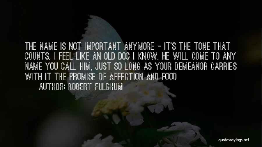 Not Important Anymore Quotes By Robert Fulghum