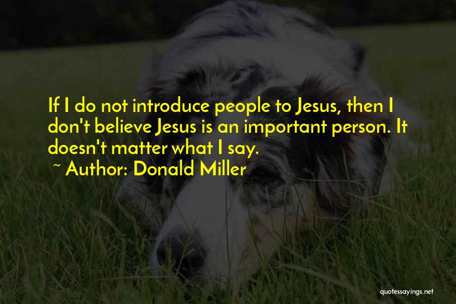 Not Important Person Quotes By Donald Miller