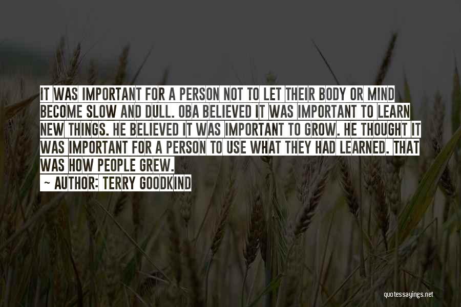 Not Important Person Quotes By Terry Goodkind
