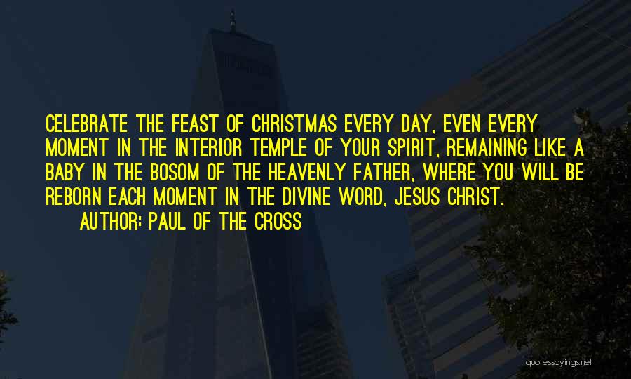 Not In The Christmas Spirit Quotes By Paul Of The Cross