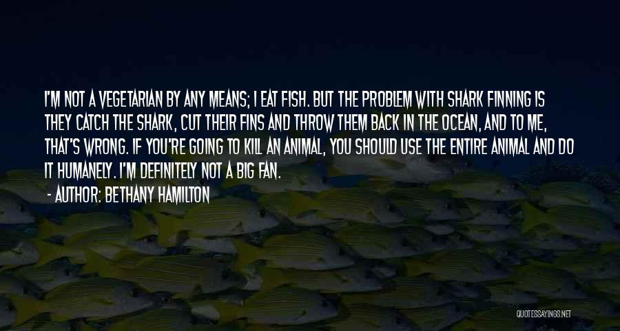 Not In The Wrong Quotes By Bethany Hamilton