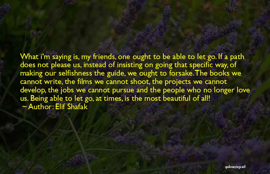 Not Insisting Quotes By Elif Shafak