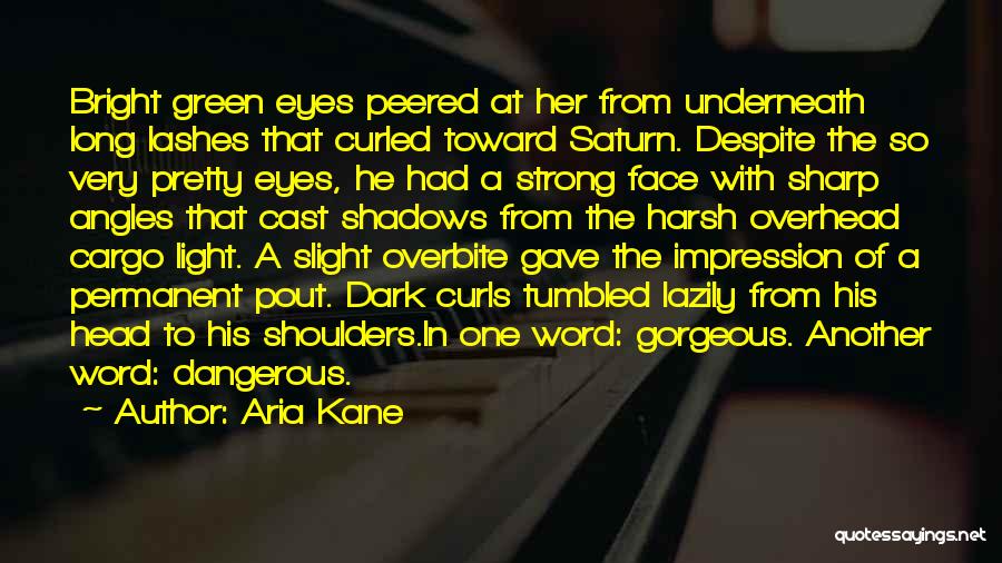 Not Just Another Pretty Face Quotes By Aria Kane