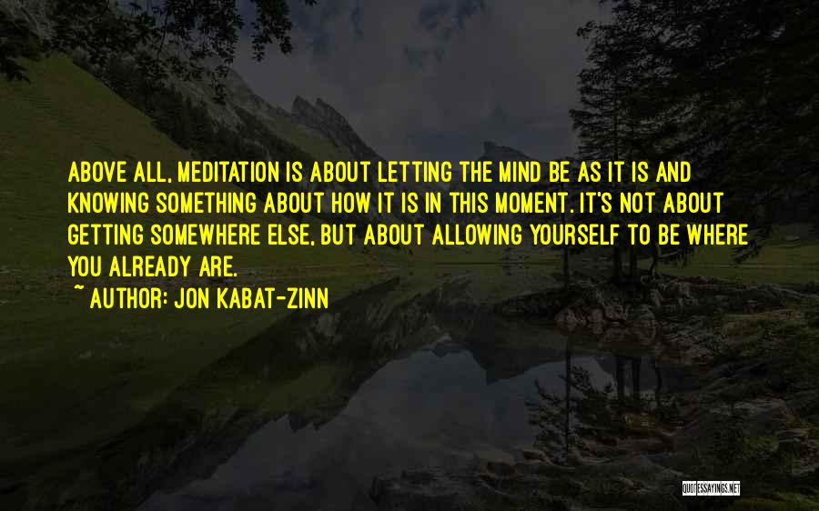 Not Knowing About Yourself Quotes By Jon Kabat-Zinn