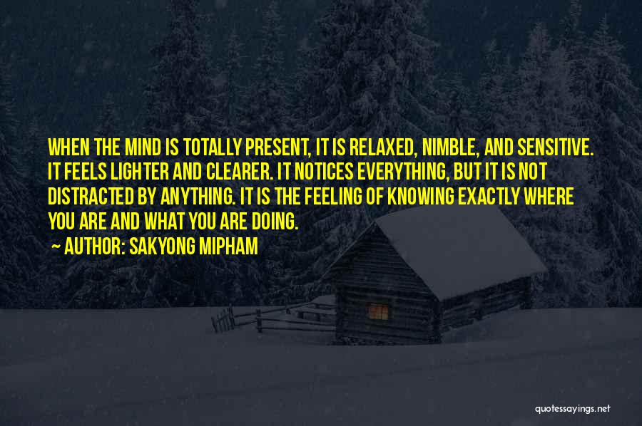 Not Knowing Anything Quotes By Sakyong Mipham