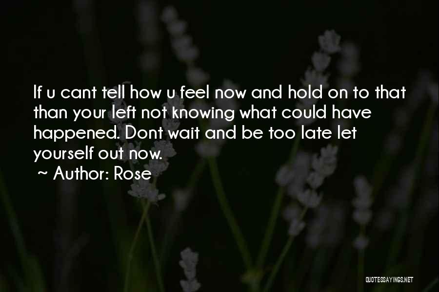 Not Knowing How To Feel Quotes By Rose