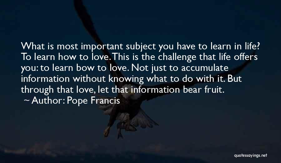 Not Knowing How To Love Quotes By Pope Francis