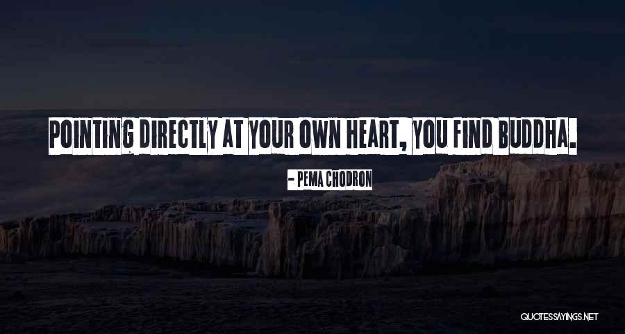 Not Knowing If Someone Likes You Quotes By Pema Chodron Not Knowing If Someone Likes You Quotes By Pema Chodron