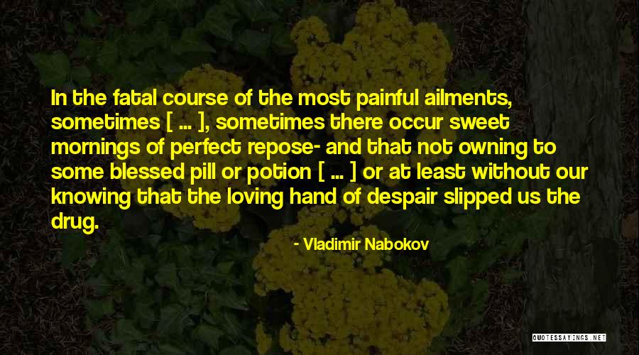 Not Knowing Someone But Loving Them Quotes By Vladimir Nabokov