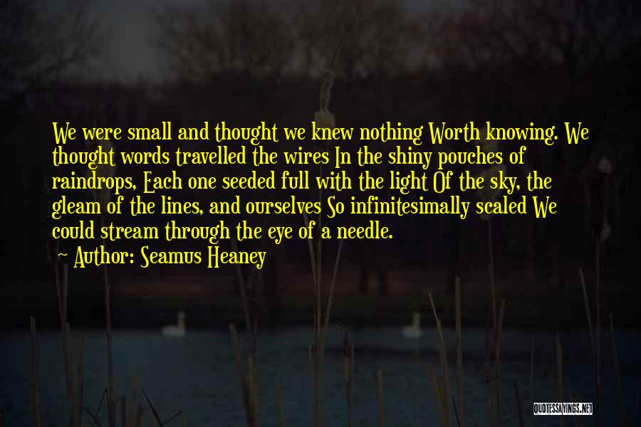 Not Knowing Someone You Thought You Knew Quotes By Seamus Heaney