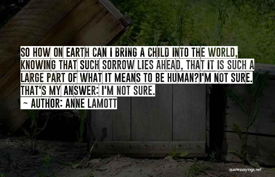Not Knowing The Answer Quotes By Anne Lamott