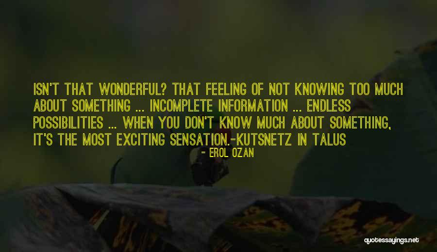 Not Knowing The Unknown Quotes By Erol Ozan