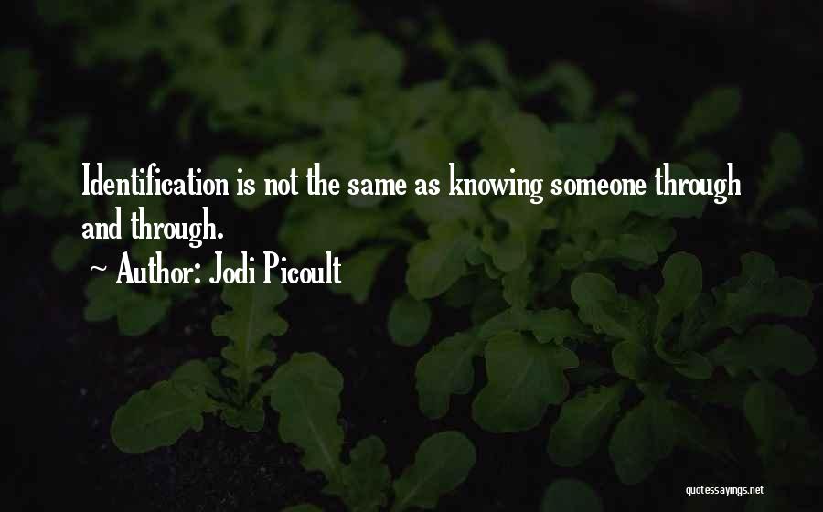 Not Knowing What Someone Is Going Through Quotes By Jodi Picoult