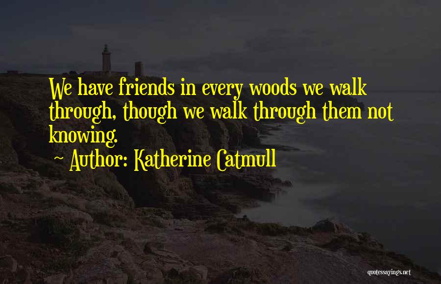 Not Knowing What Someone Is Going Through Quotes By Katherine Catmull