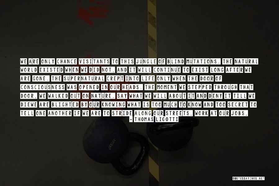 Not Knowing What Someone Is Going Through Quotes By Thomas Ligotti