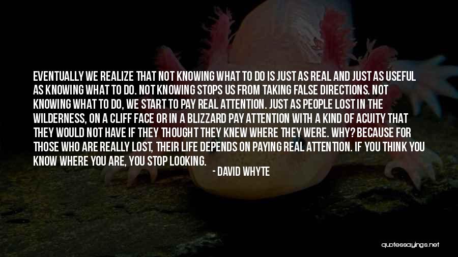 Not Knowing What To Do Quotes By David Whyte