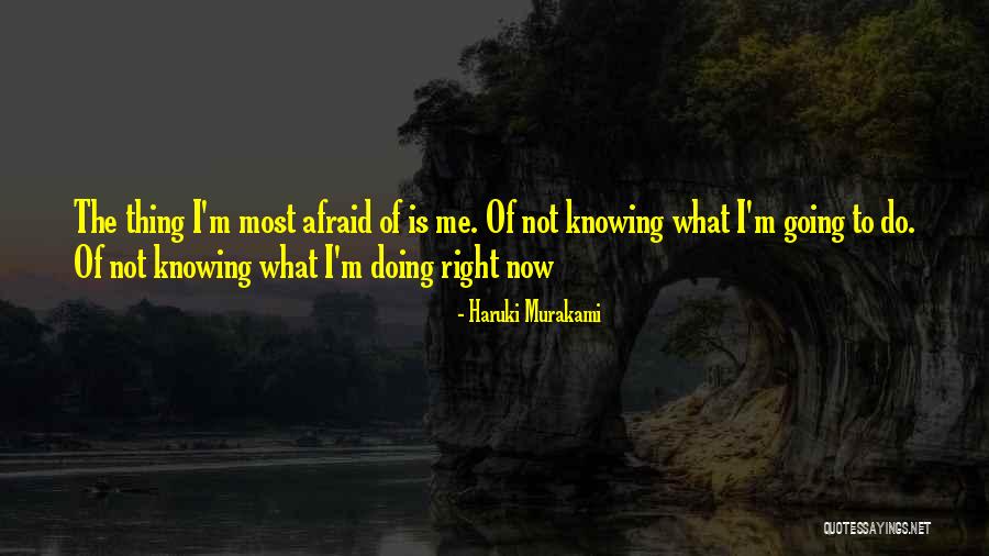 Not Knowing What To Do Quotes By Haruki Murakami