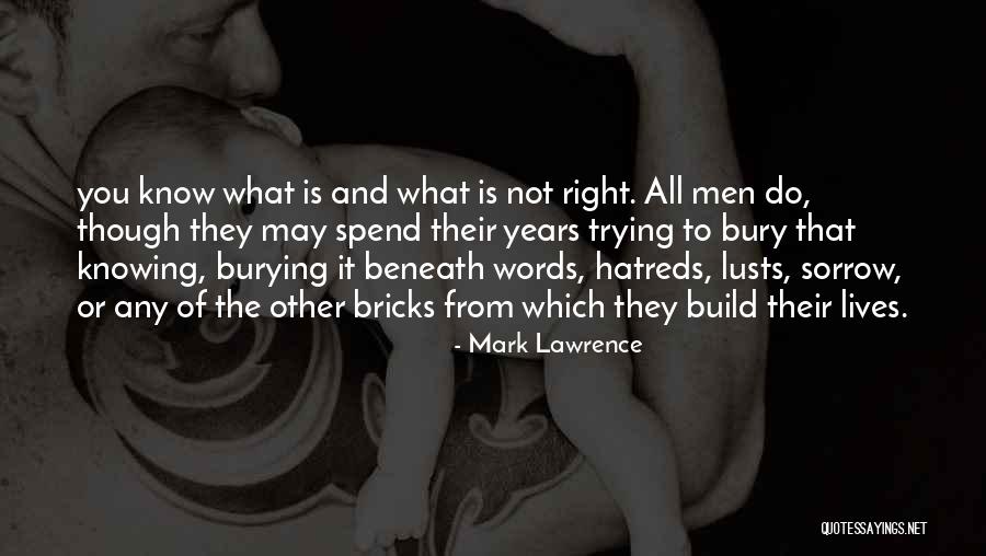 Not Knowing What To Do Quotes By Mark Lawrence