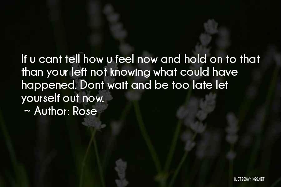 Not Knowing What U Have Quotes By Rose