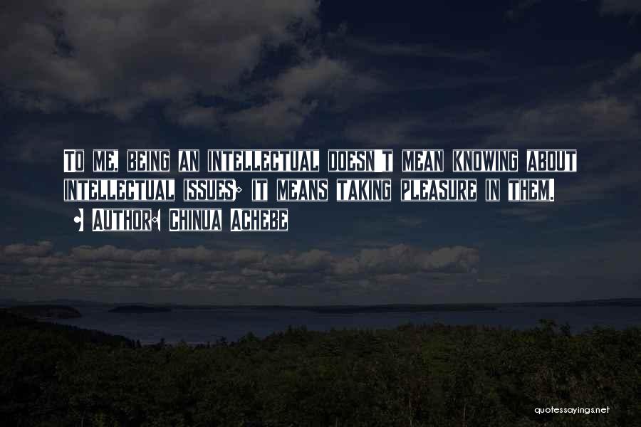 Not Knowing What You Mean To Someone Quotes By Chinua Achebe