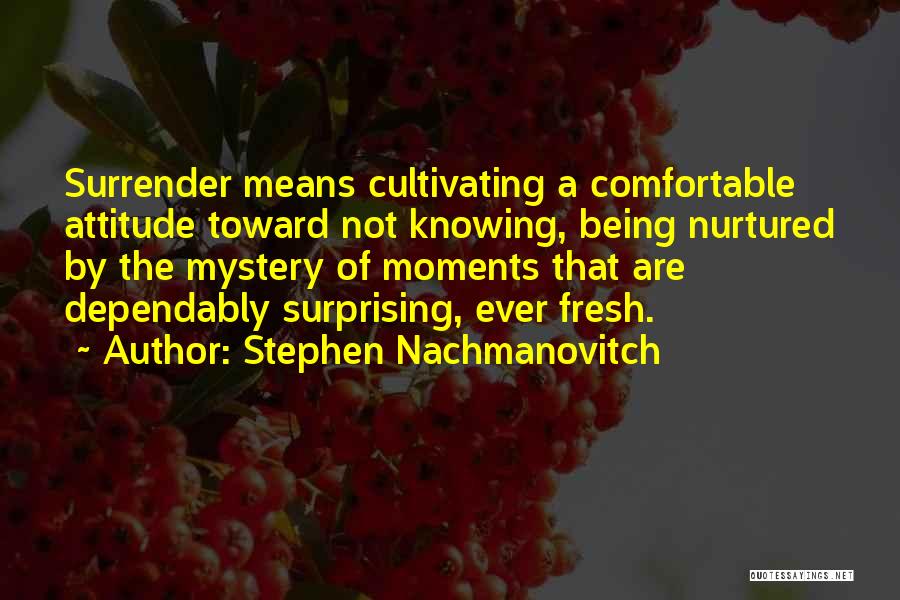 Not Knowing What You Mean To Someone Quotes By Stephen Nachmanovitch