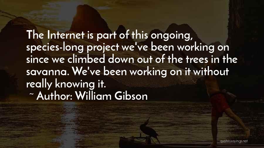 Not Knowing What You've Got Till It's Gone Quotes By William Gibson