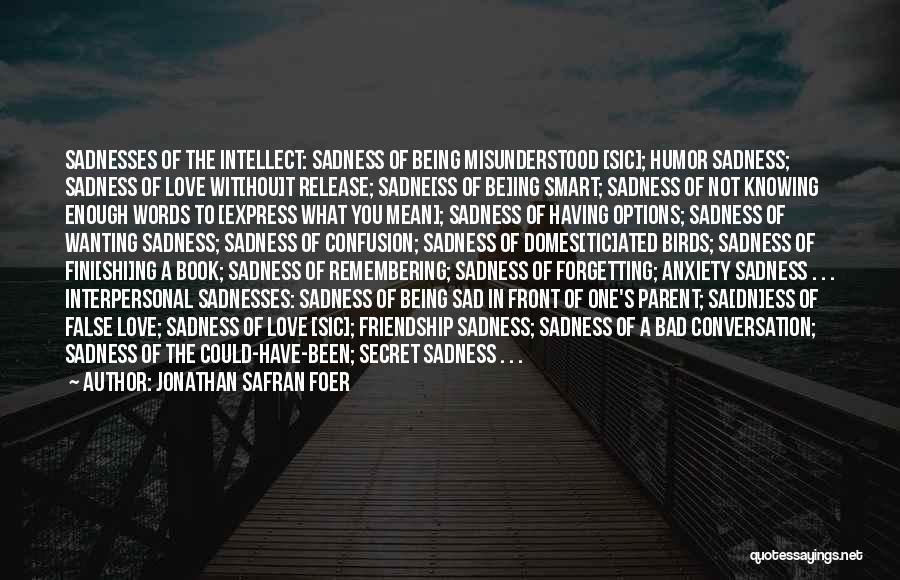 Not Knowing What's In Front Of You Quotes By Jonathan Safran Foer