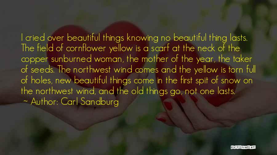 Not Knowing Your Beautiful Quotes By Carl Sandburg