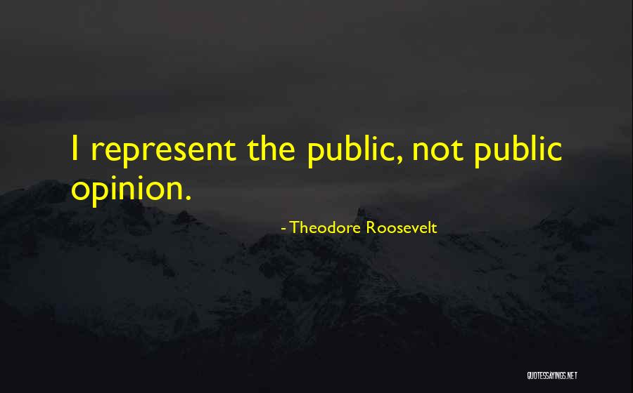 Not Leadership Quotes By Theodore Roosevelt Not Leadership Quotes By Theodore Roosevelt