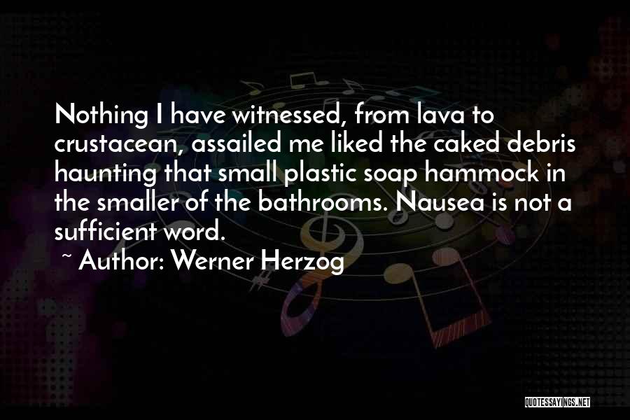 Not Liked Quotes By Werner Herzog