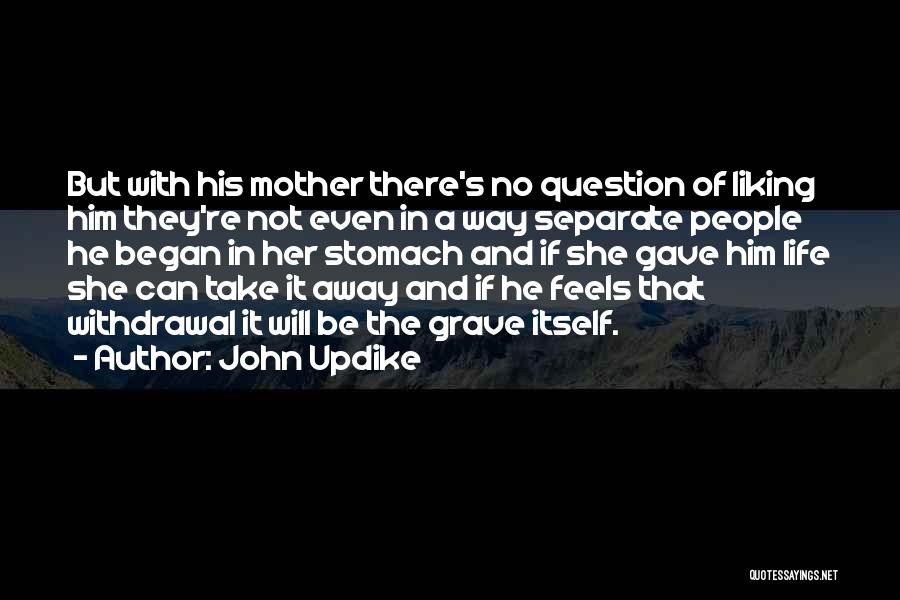 Not Liking Life Quotes By John Updike