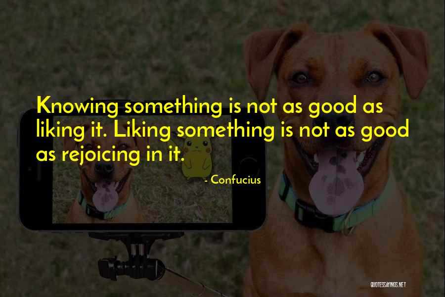 Not Liking Something Quotes By Confucius