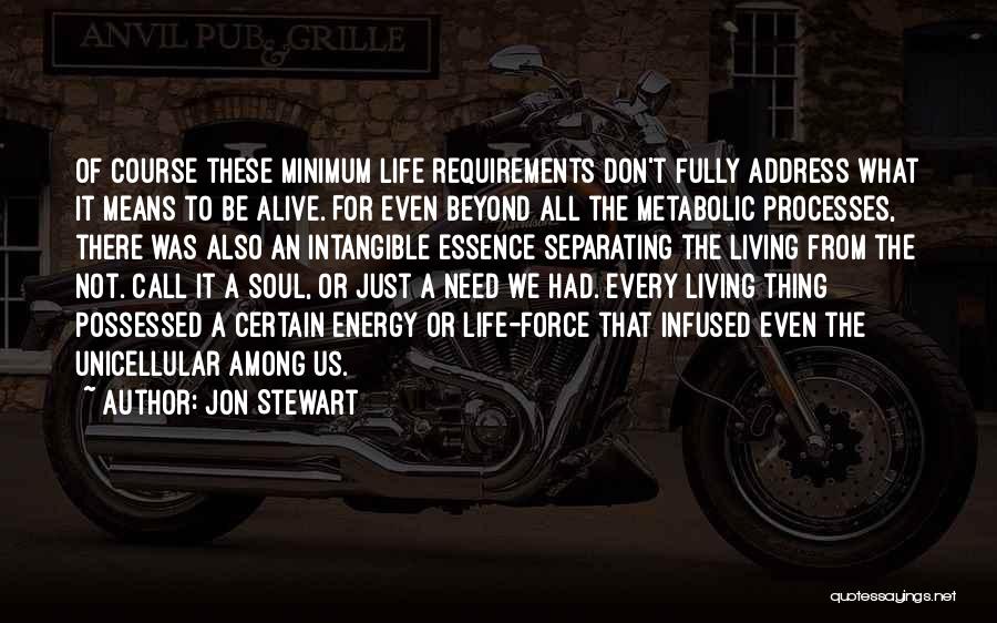 Not Living Beyond Your Means Quotes By Jon Stewart
