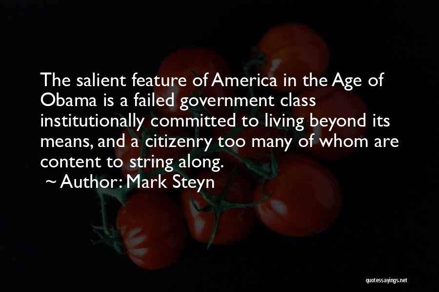 Not Living Beyond Your Means Quotes By Mark Steyn