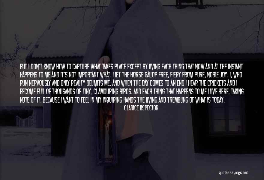 Not Living In Reality Quotes By Clarice Lispector