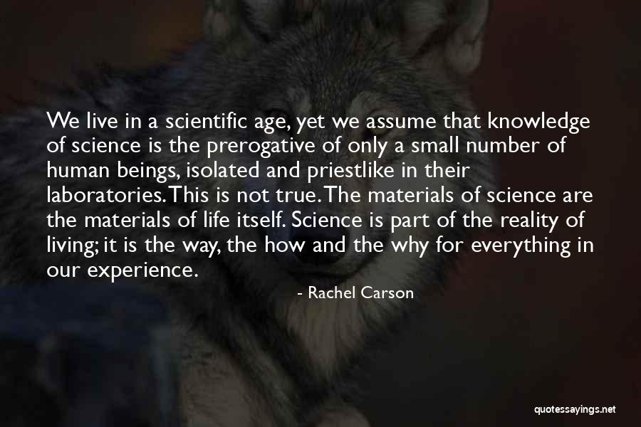 Not Living In Reality Quotes By Rachel Carson