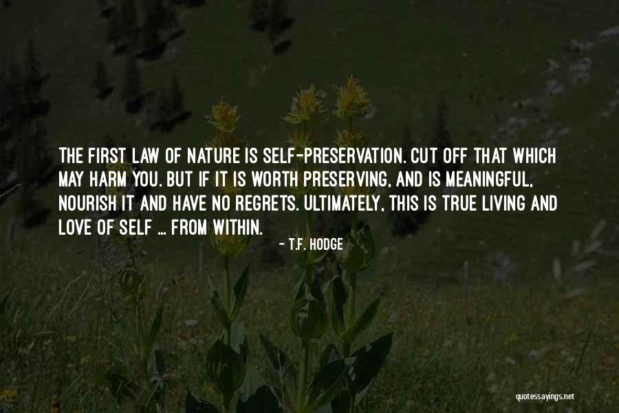 Not Living In Regret Quotes By T.F. Hodge Not Living In Regret Quotes By T.F. Hodge