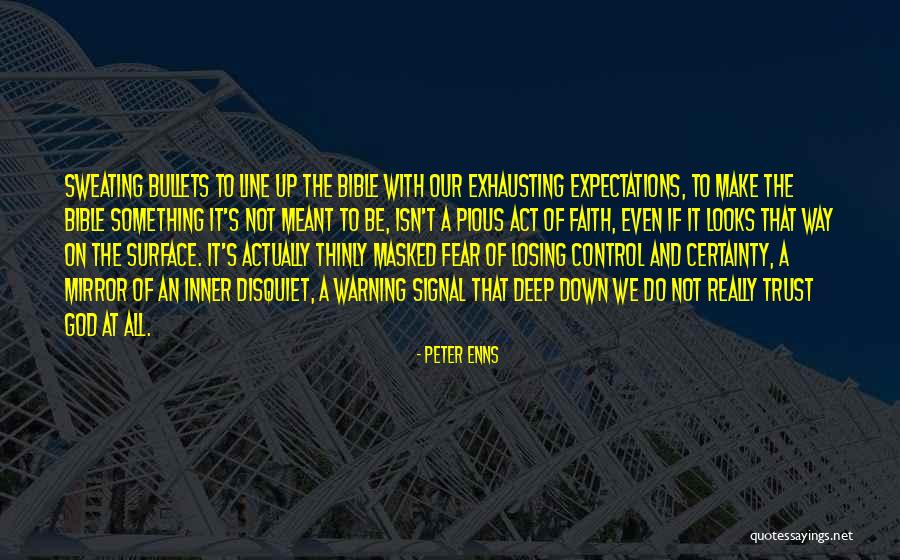 Not Losing Faith Quotes By Peter Enns