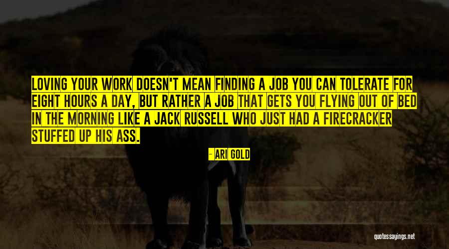 Not Loving Your Job Quotes By Ari Gold