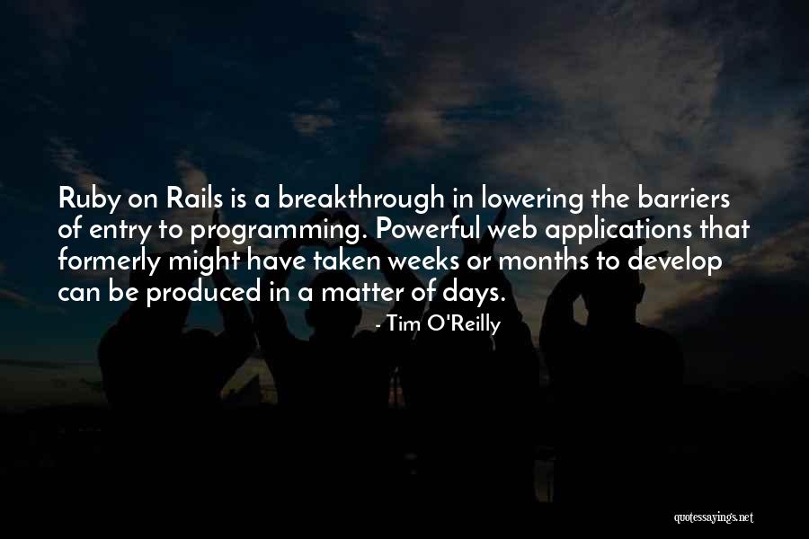 Not Lowering Yourself Quotes By Tim O'Reilly