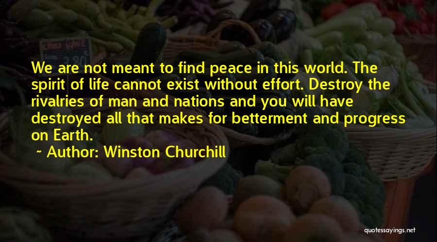 Not Meant For This World Quotes By Winston Churchill