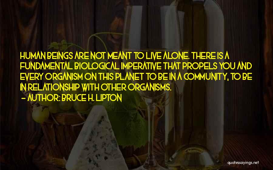 Not Meant To Be Alone Quotes By Bruce H. Lipton