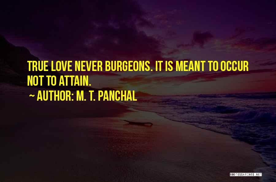 Not Meant To Love Quotes By M. T. Panchal