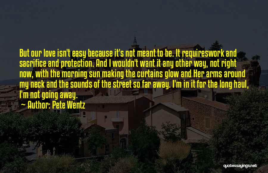 Not Meant To Love Quotes By Pete Wentz