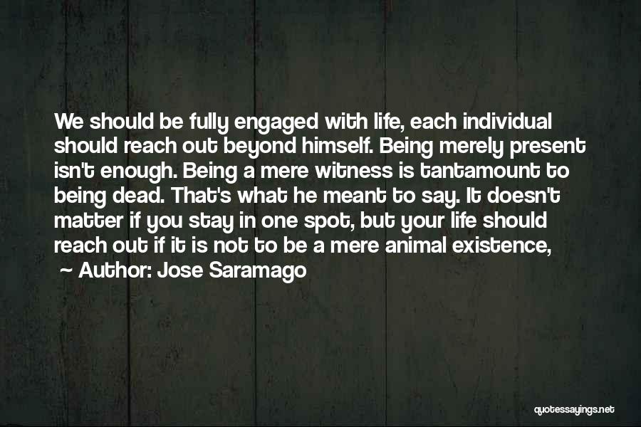 Not Meant To Stay Quotes By Jose Saramago